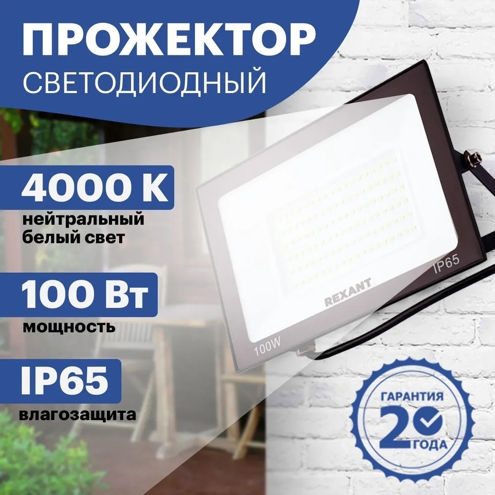 Прожектор на дуге крепления REXANT 100 Вт, дневной белый