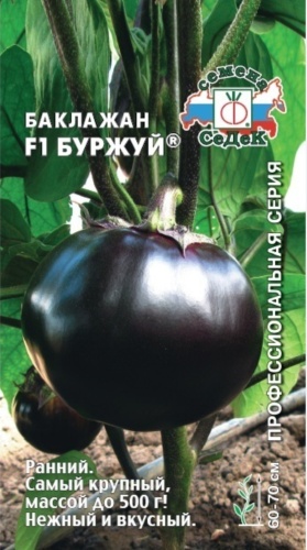 СеДеК баклажан Буржуй F1