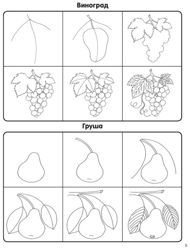 Фото 6