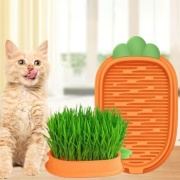 Лакомство Трава 100 г 1 шт