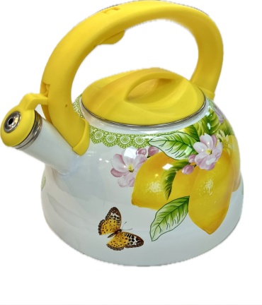 Чайник 267306/1 3 л, сталь