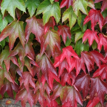 Фото 2