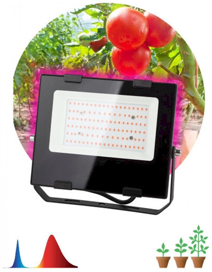 Светодиодная ЭРА FITO-50W-RB-LED 50 Вт, 1200 К