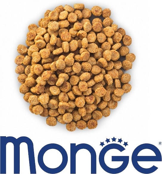 Купить Корм Monge Sterilised для стерилизованных утка 1 кг в Алматы ...