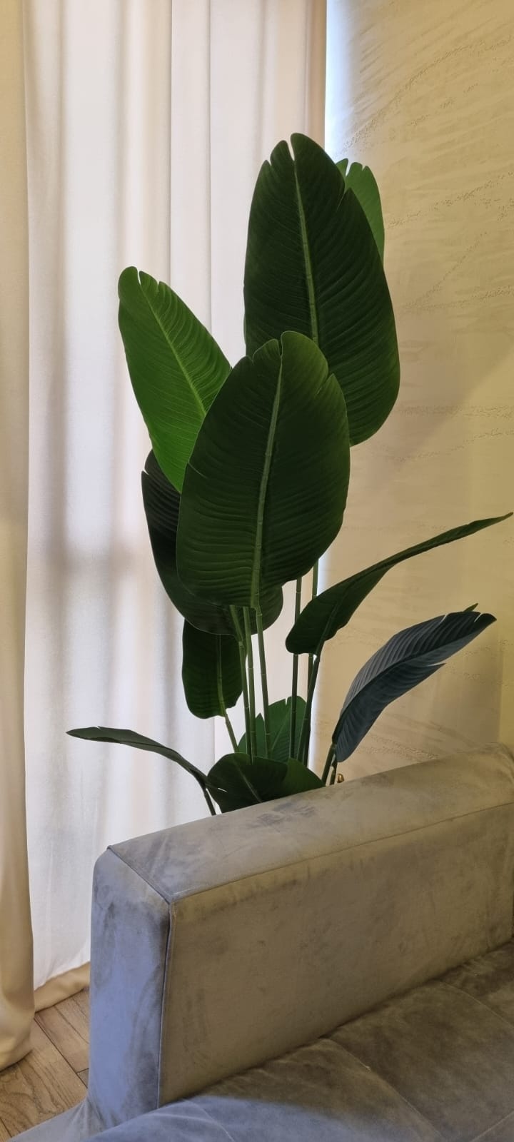 Фото 3