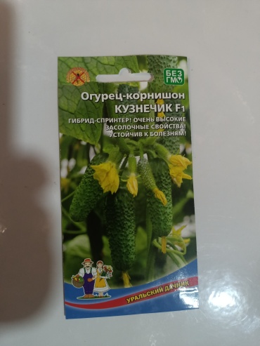 Уральский дачник огурец Кузнечик F1