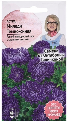 Агросидс трейд астра Миледи темно синий
