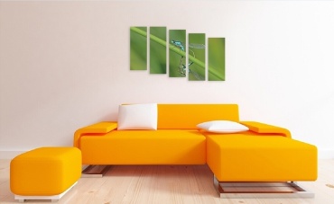 Фото 3