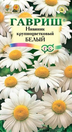 Гавриш нивяник Крупноцветковый белый