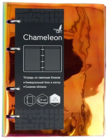 Канц-Эксмо ежедневник Chameleon ПБП1204612, A6, 120 листов, мультиколор