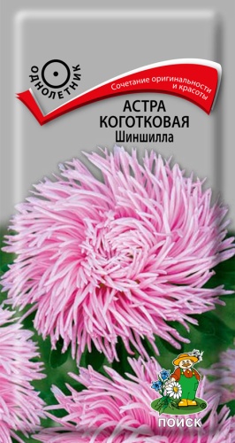 Поиск астра коготковая шиншилла