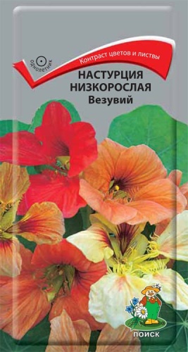 Поиск настурция Везувий