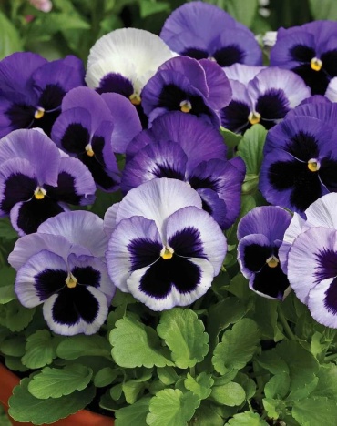 Фото 2
