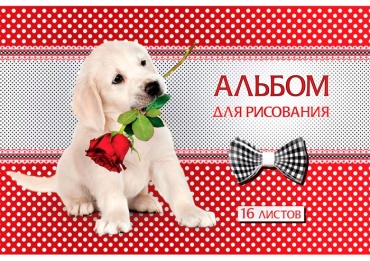 Альбом Hatber 16А4С A4 16 листов