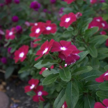 Фото 2