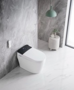 Унитаз-биде LuxuryLoo 2213, керамика