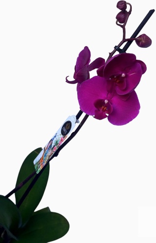 Фото 2