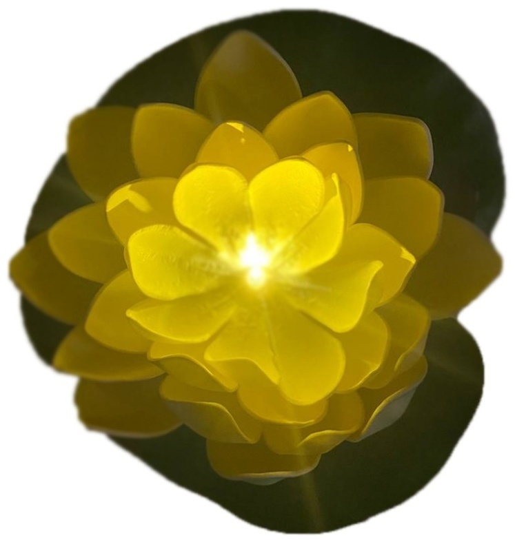 Фото 6
