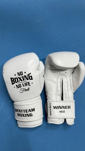 Боксерские перчатки No Boxing No Life 14 oz белый
