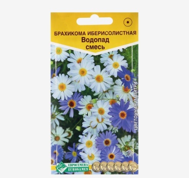 Евросемена брахикома Водопад смесь