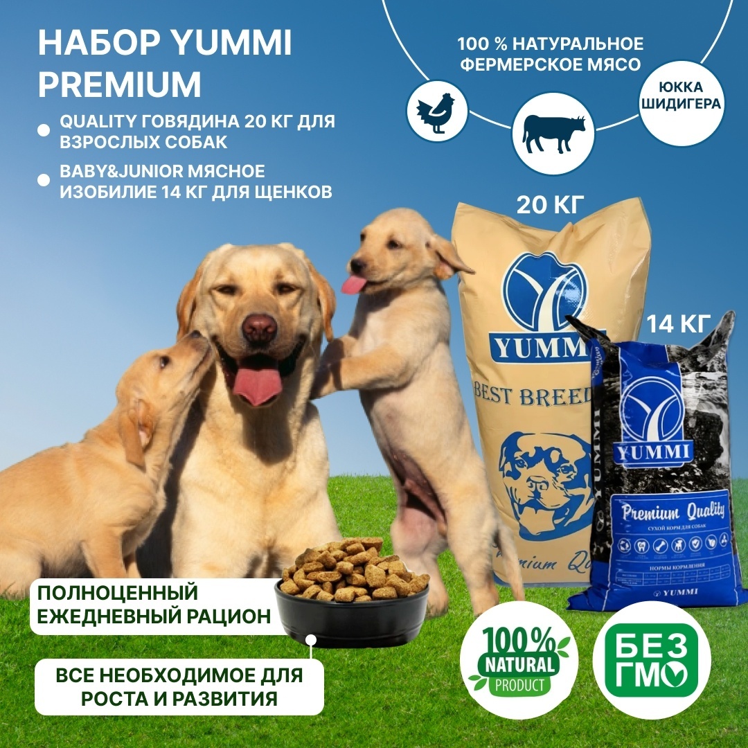 Купить Корм YUMMI Premium Quality Говядина для взрослых 20 кг + YUMMI ...