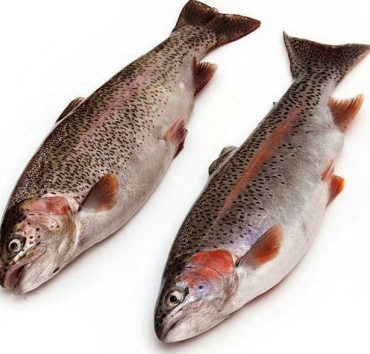 Fishdream тушка форель свежемороженый 800 г