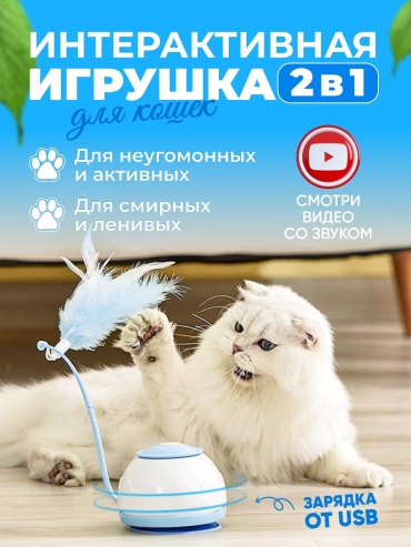 Интерактивная игрушка для кошек 2 в 1, с USB зарядкой
