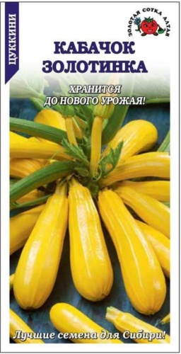Кабачок Золотинка