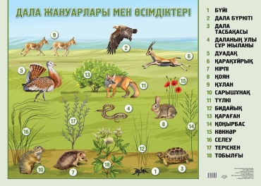 Плакат Дала жануарлары мен өсімдіктері, A2, бумага
