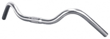 Zoom ryzer silver