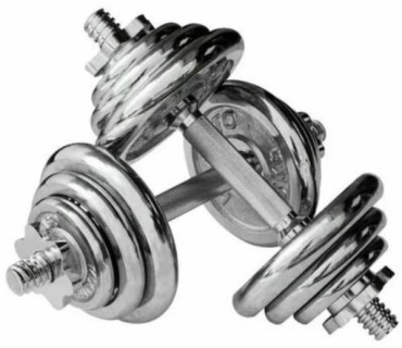 Набор гантелей York Fitness разборная 30 кг
