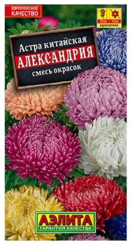 Аэлита астра Китайская Александрия