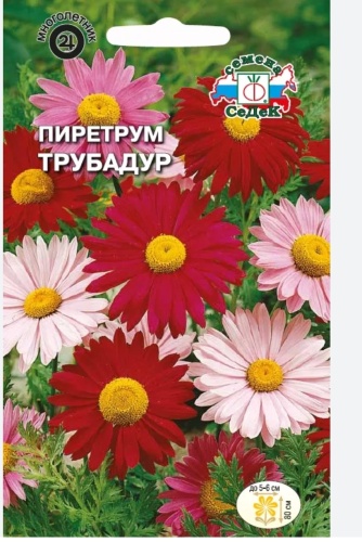 СеДеК пиретрум Трубадур