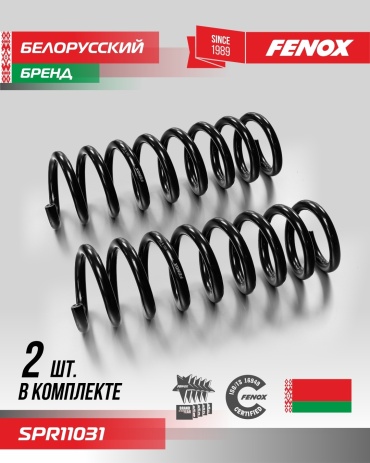 FENOX пружина передней подвески SPR11031