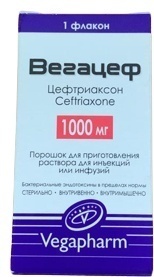 ВЕГАЦЕФ порошок 1 г 1 шт