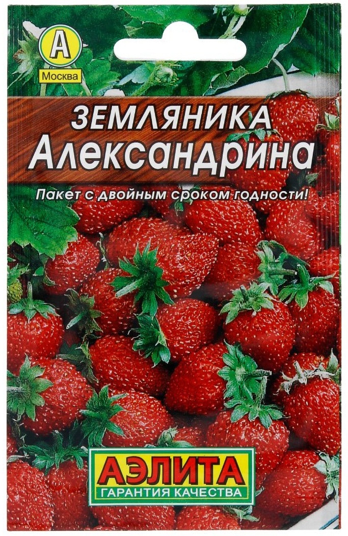 Аэлита земляника Александрина