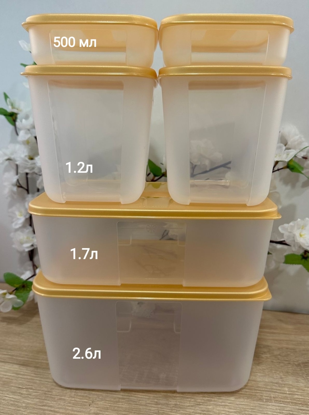 Купить Tupperware набор контейнеров РП 12023 6 шт, полипропилен в ...