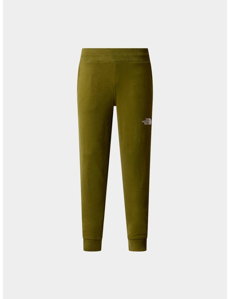 Спортивные брюки The North Face зеленый
