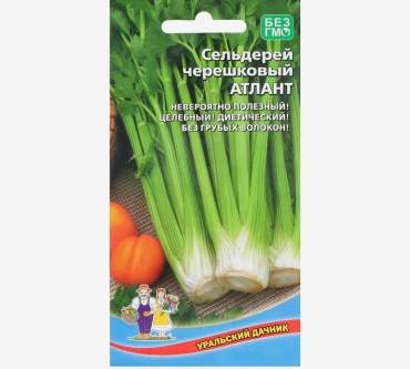 Уральский дачник сельдерей Атлант