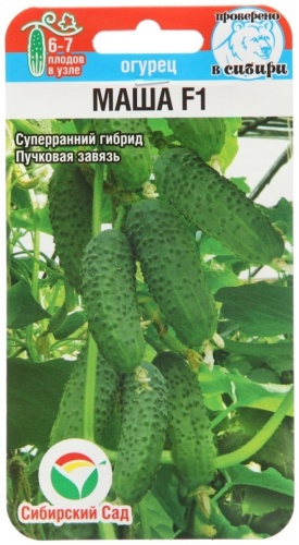 Семена Алтая огурец Маша