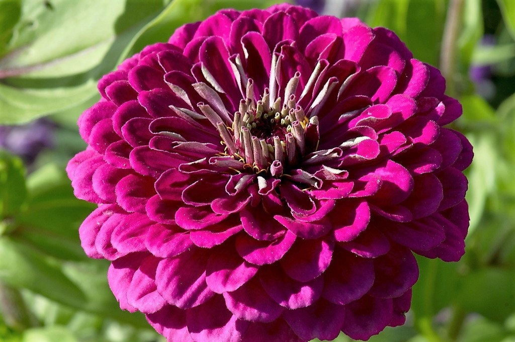 Фото 2