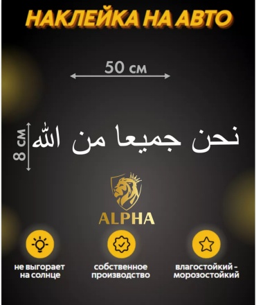ALPHA 123959871 50x80 см