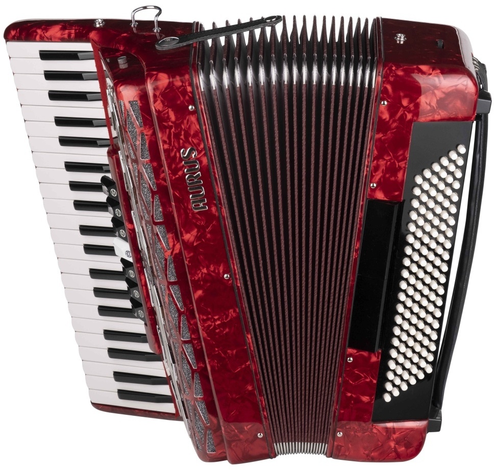 Баян ученический Aurus JH2008-R