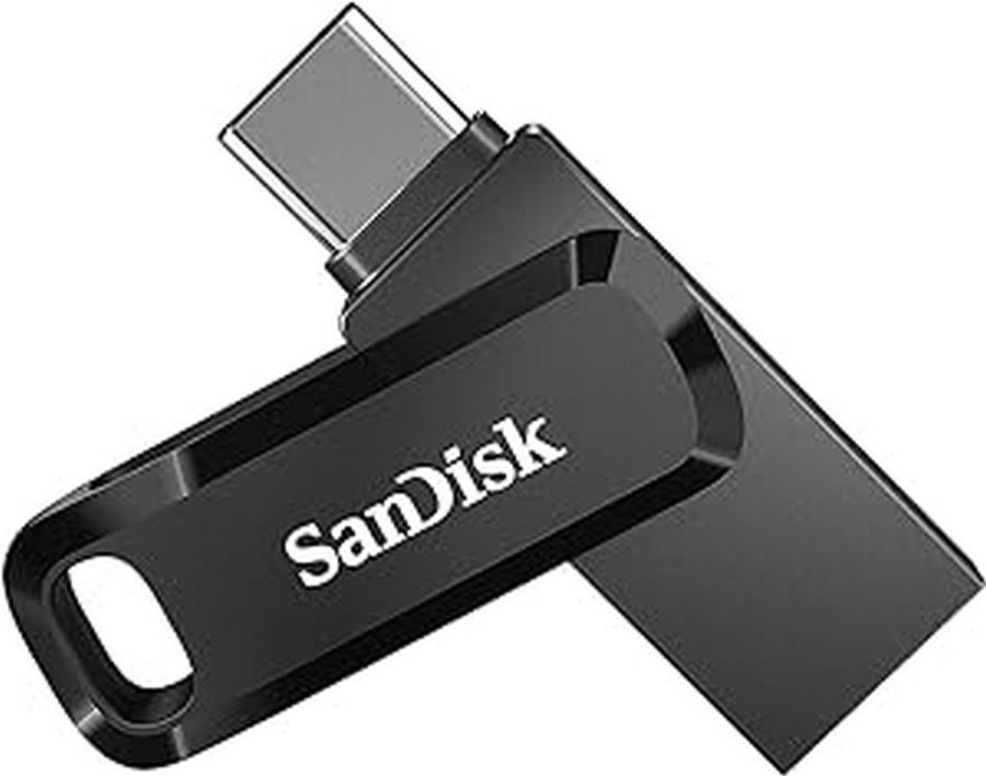 USB Flash карта SanDisk SDDDC3-256G-G46 256 Гб