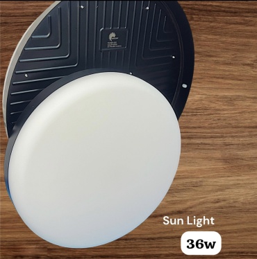 Светильник потолочный Sunlight LED белый
