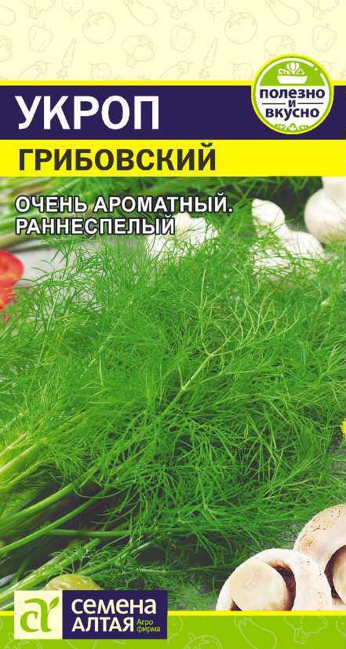 Семена Алтая укроп Грибовский
