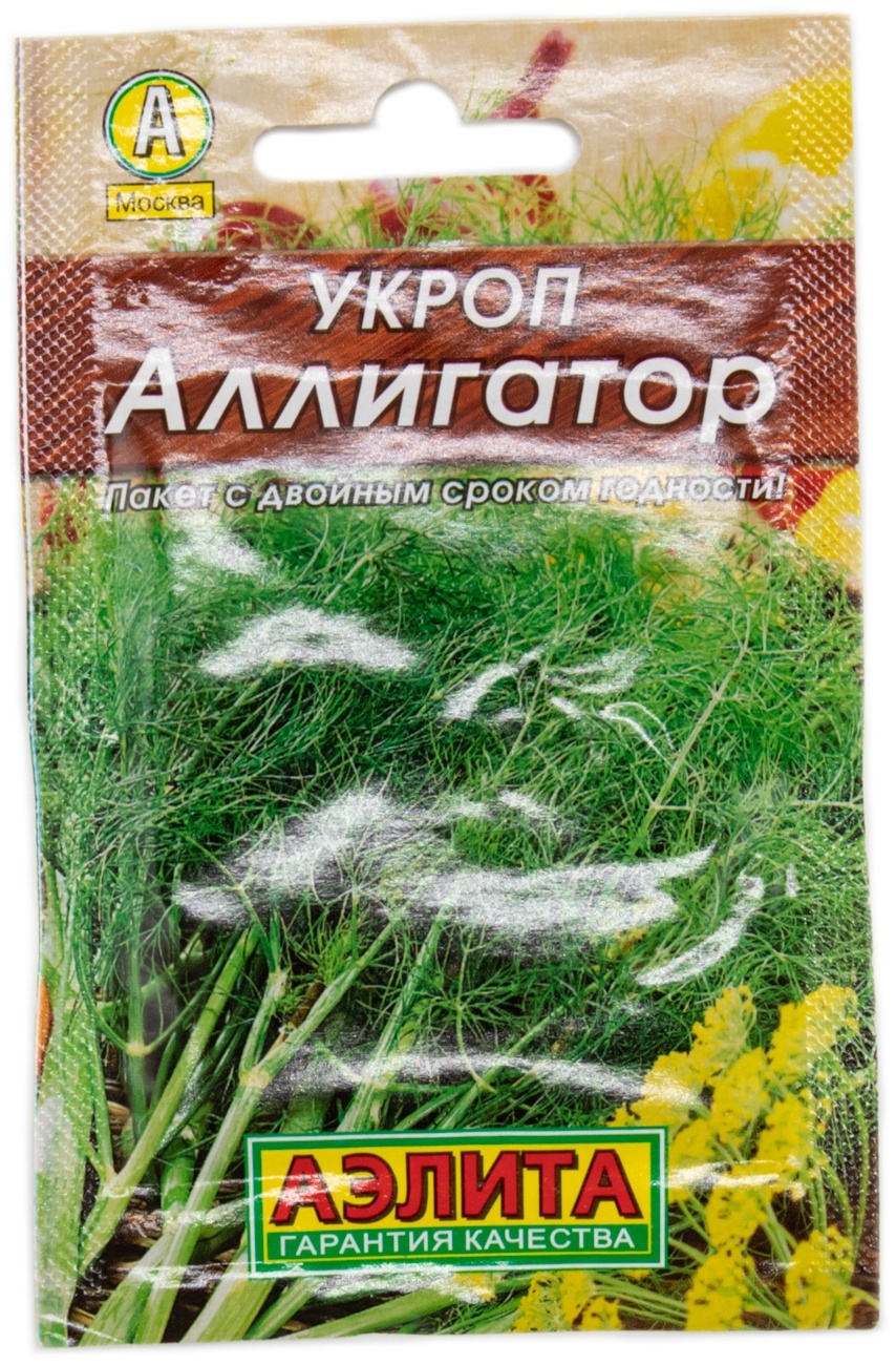 Аэлита укроп Аллигатор
