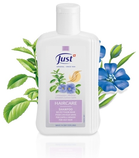 Just For Oily hair шампунь 250 мл