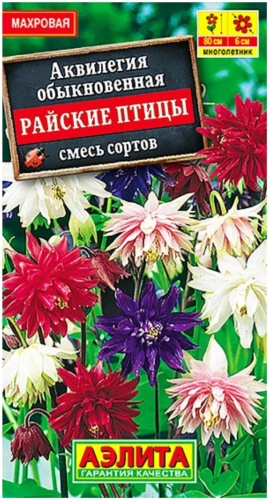 Аквилегия Райские птицы смесь окрасок