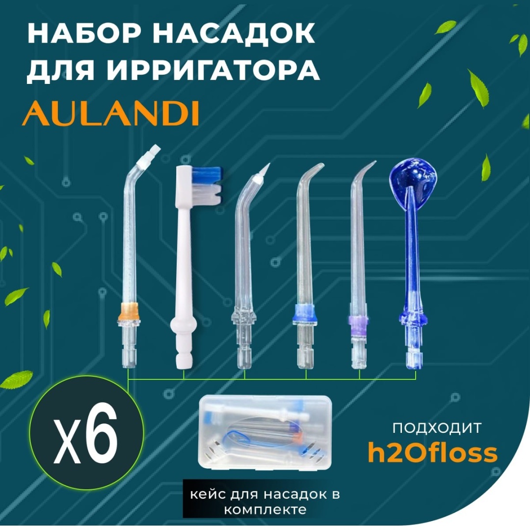 Насадка Aulandi 6 для ирригатора 6 шт
